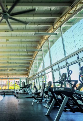 Gimnasio