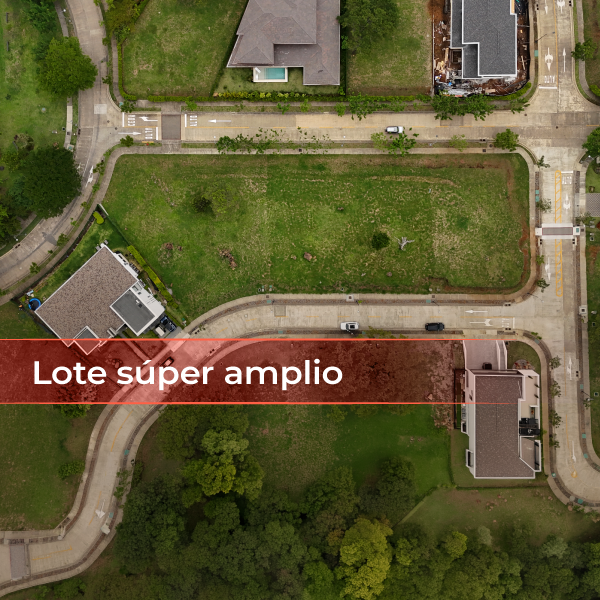Lotes
